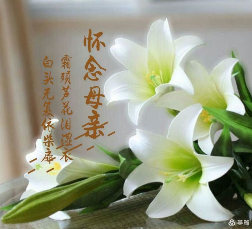 纪念母亲.png